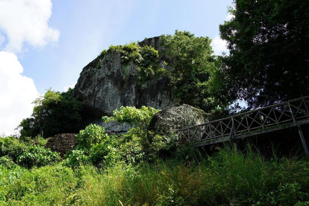 โรงแรม ฮาน พาเลซ เซมโปร์นา เซมปอร์นา ภายนอก รูปภาพ